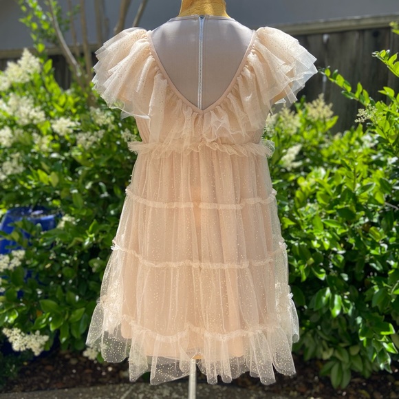 Show Me Your MuMu Miranda Dress Sparkle Dust Tulle - Picture 9 of 12
